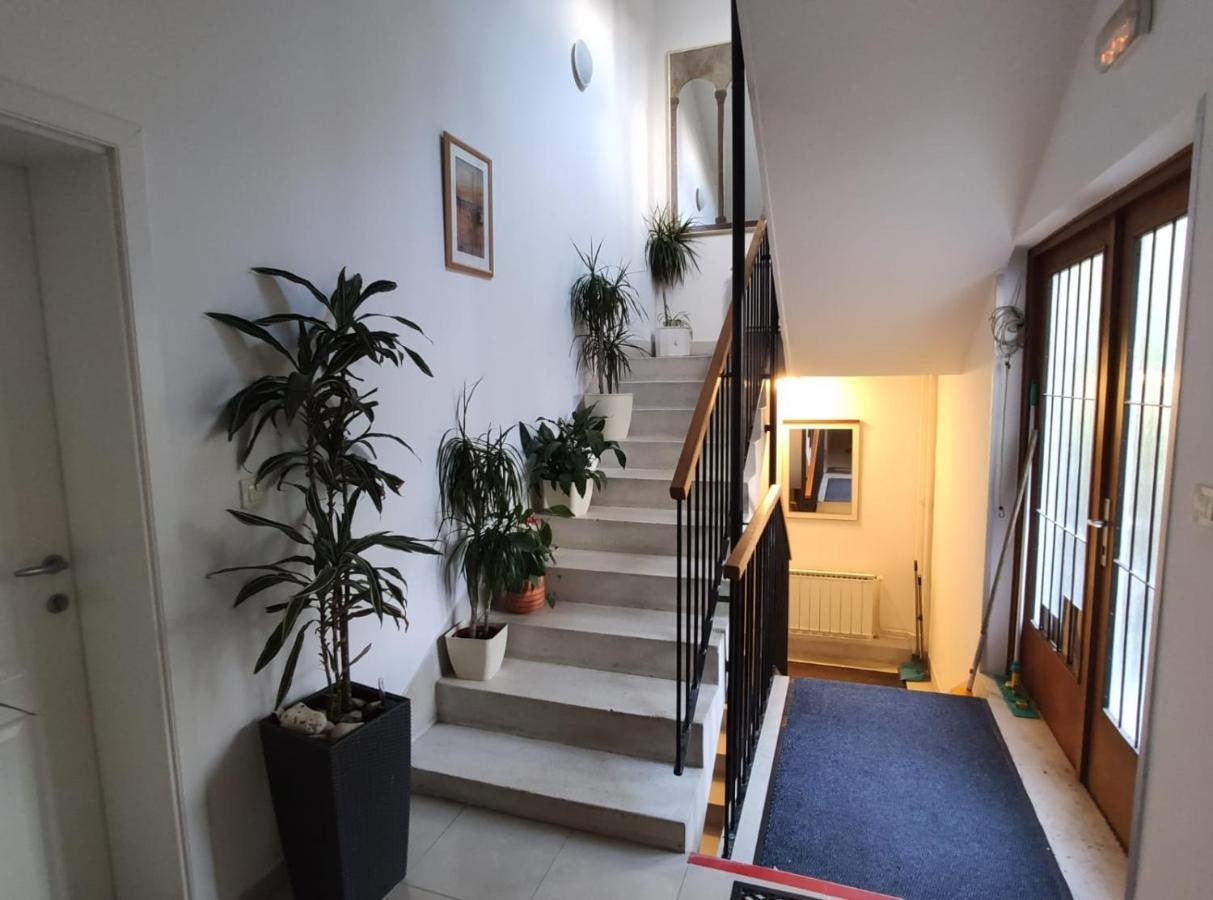 Ivana Apartman 2 Цриквениця Екстер'єр фото